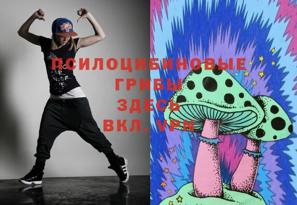 меф Алексин
