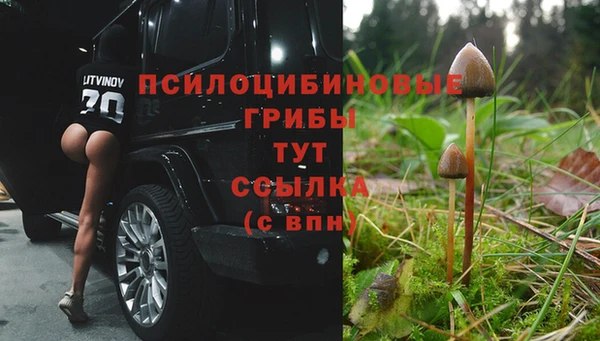 меф Алексин