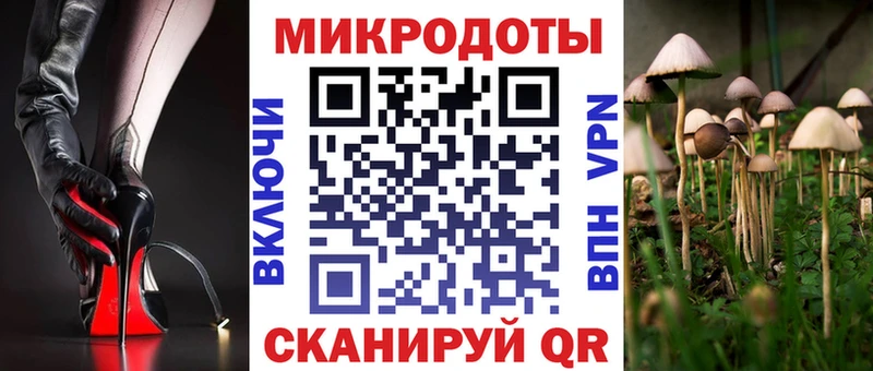 Псилоцибиновые грибы MAGIC MUSHROOMS  Чердынь 